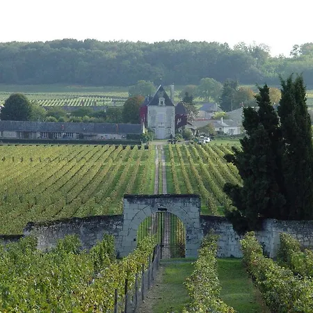 Chateau De Chaintres Dom wakacyjny