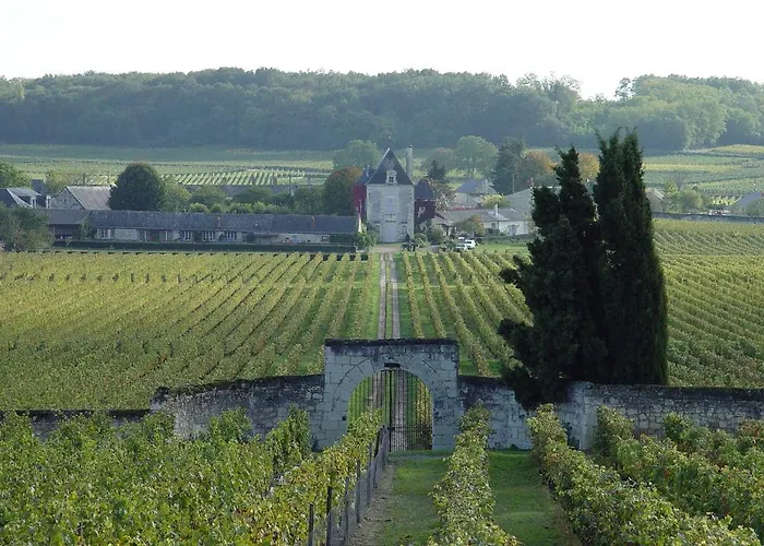 Chateau De Chaintres Σπίτι διακοπών